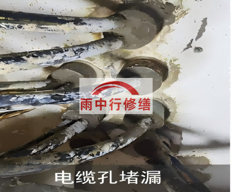 辽宁电缆洞堵漏案例